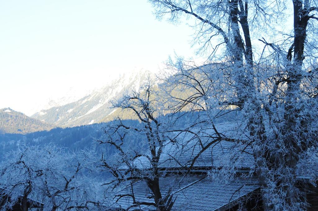 Haus Herz Værelse billede